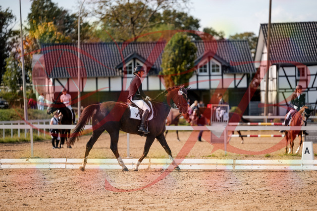 2026_10_03_Siefer-Hof_132307_Z63_84100666 | Professionelle Reitsport-, Turnier- und Eventfotografie von Robert Broda. Galerien mit ausgewählten und bearbeiteten Bildern direkt online ansehen und bestellen.