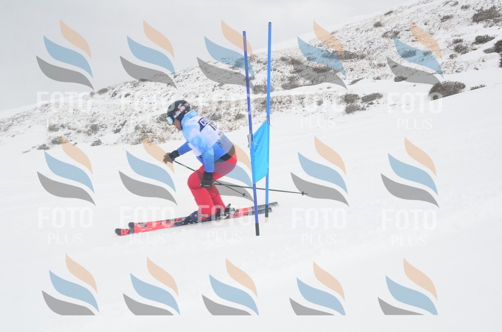 A5976 | holidayphoto