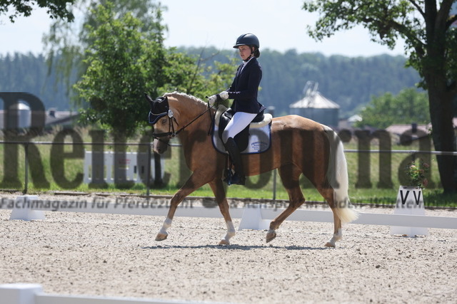 Rot am See_2024_Prfg.Nr.21_Qual.BCH_und_LCH_5-jähr.Ponys_Mona Honold_Erna 65 (5) | Alle Fotos der Reiterjournal Fotografin Doris Matthaes im Reiterjournal Online-Fotoshop. - Realisiert mit Pictrs.com