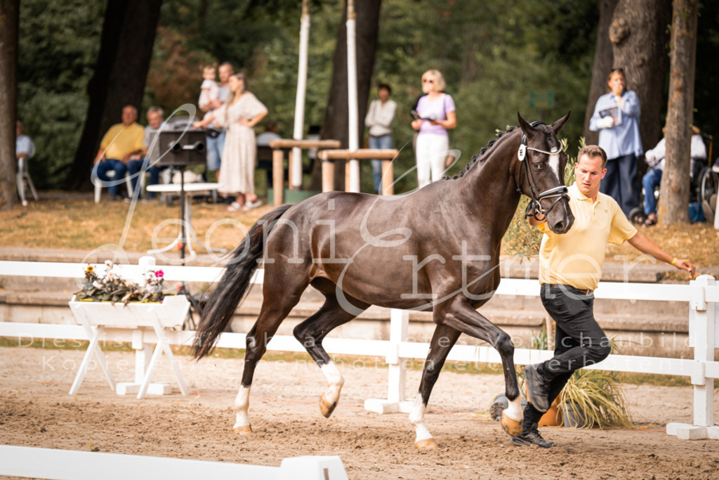 7.Fr00090 | Leoni Ertmer Photography - Realisiert mit Pictrs.com
