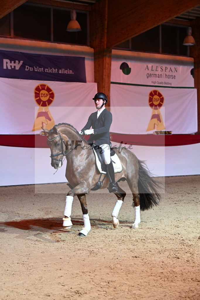 Feliciano_Wadenspanner_2254392 | hf-fotografie - Realisiert mit Pictrs.com