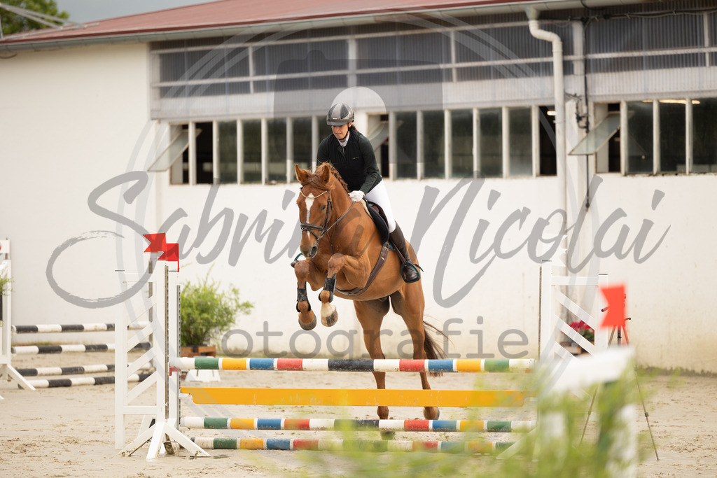 994A0009 | sabrinanicolaifotografie - Realisiert mit Pictrs.com