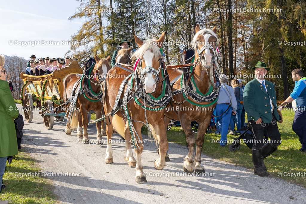 LBT24-1369 | foto-bettina-krinner - Realisiert mit Pictrs.com