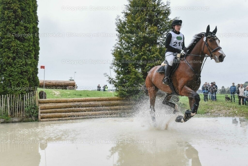20230513_CCI2_Section2_Gelände_0045 | equistock