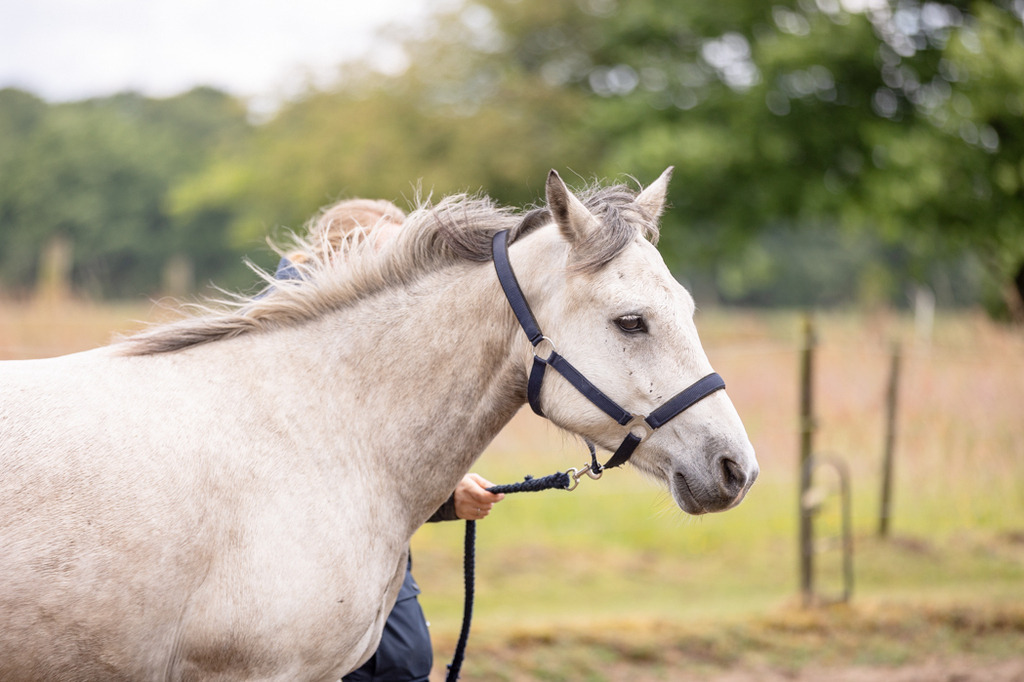 846A0600 | fotosleben - Realisiert mit Pictrs.com