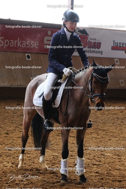 JugendTrophy0571 | Fotografie, Tiere, Hunde, Katzen, Pferde, Sportfotografie, Fotosession, Tierfotografie, Turnierfotografie, Fotografin, Fotograf - Realisiert mit Pictrs.com