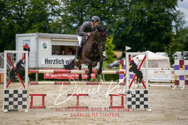 IMG_5652 | Turniersportfotografie; Pferdefotografie; Dressurfotografie