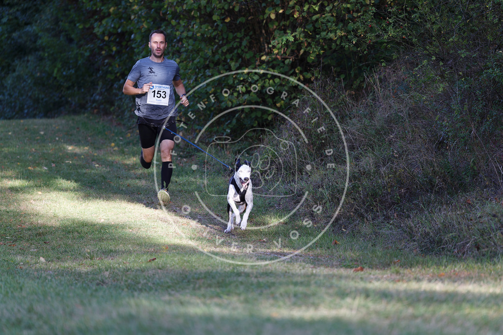 0L8A5077 | Hundefotografie, Tierfotograf, Pfotenfotografie, Fotoshooting Hund, Hunde Portrait, Hundesport, Hundeportraits, Heideshooting, Hunde, Sportfotograf, Hundefotograf, Turnierhundsport, THS,  - Realisiert mit Pictrs.com