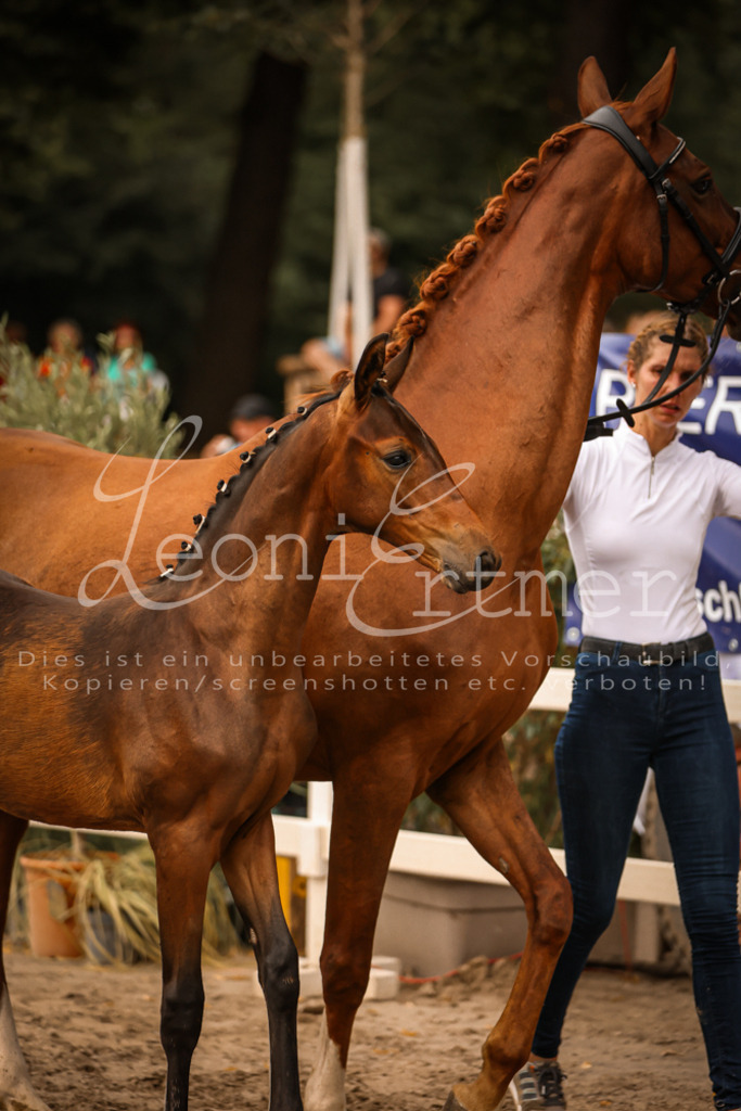 SaPA00314 | Leoni Ertmer Photography - Realisiert mit Pictrs.com