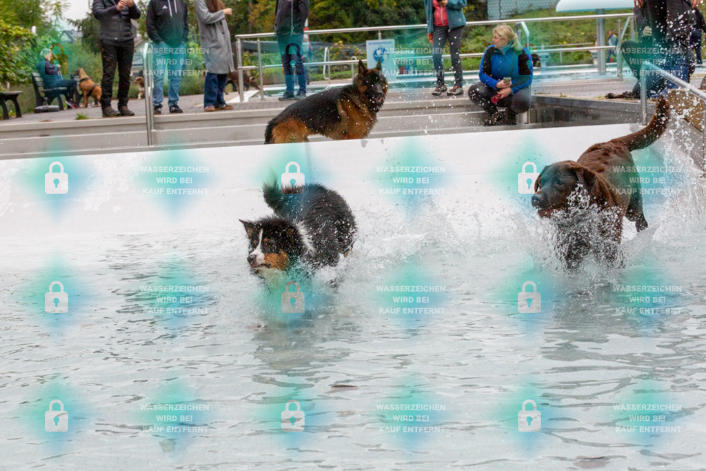 _HP_7439_1000o | HetPix, HetPix Fotodesign, Fotografie, Fotodesign, Webshop, Sportfotografie, Portraitfotografie, Onlineshop, Sportfotografie, Polch, Motorsportfotografie, Eventfotografie