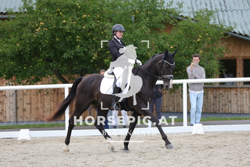 0P6A8889 | Willkommen bei Brunnmayr - Design & Fotografie – Ihrem Spezialisten für Reitturniere und Pferdeveranstaltungen in Oberösterreich, Salzburg und Bayern! Seit über 17 Jahren sind wir leidenschaftlich dabei.