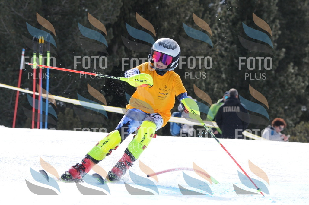 C8804 | holidayphoto