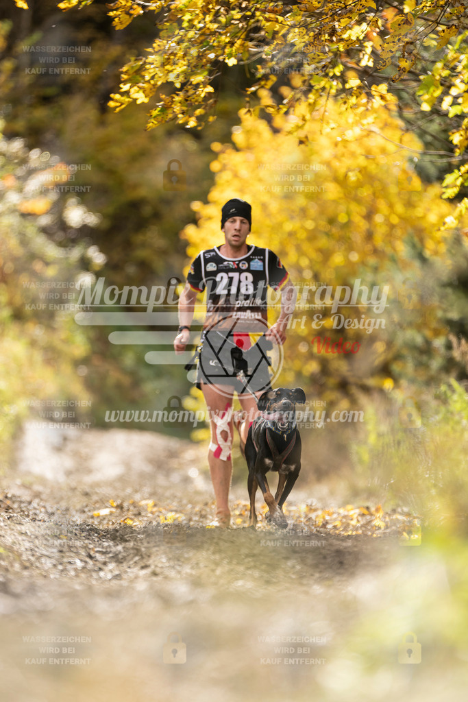 MompixPhotography_ICF_WC_2024_SA_Run_-116 | PayLife