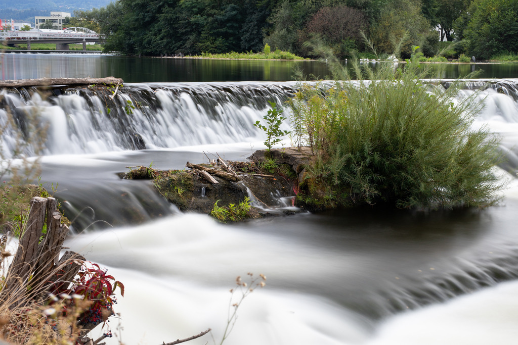 IMG_4431 | ehrlichefotos - Realisiert mit Pictrs.com