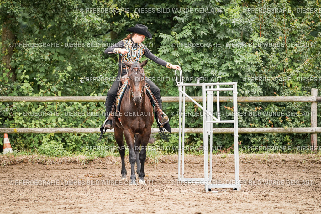 DSC04311 | Pferdegrafie