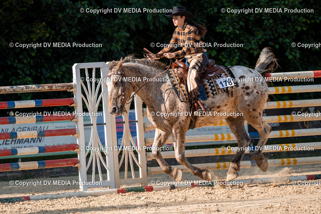 ZH100845 | dv-media-shop - Realisiert mit Pictrs.com