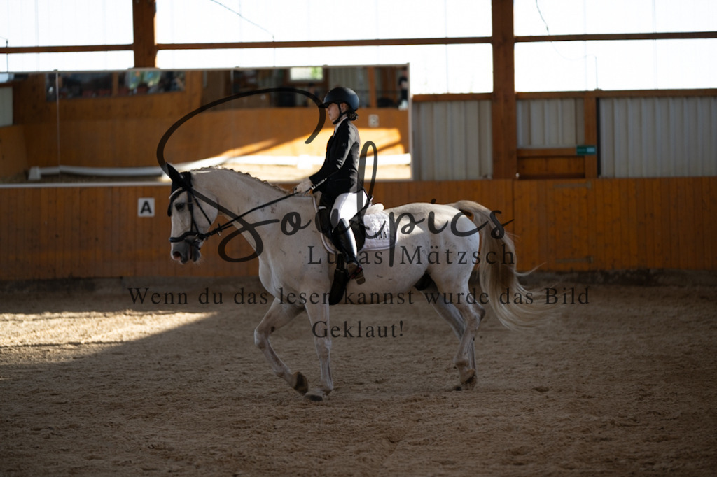 A7V01654 | Turnier/Reitfotograf