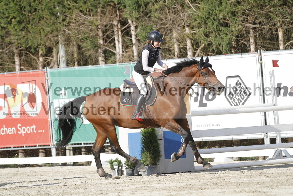 _MG_0080 | equestrian-live-com