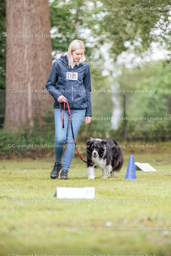 RO-Blumenthal-2026-Nickbest-Hundefotografie-5183 | Dein Hund! Dein Moment! Deine Erinnerungen! Hundefotografie in Bremen Blumenthal. Ich fange die besonderen Momente deines Vierbeiners ein – ob Indoor mit Blitzanlage oder in der freien Natur. Sicher dir dein Moment und dein Termin für eure Erinnerungen.