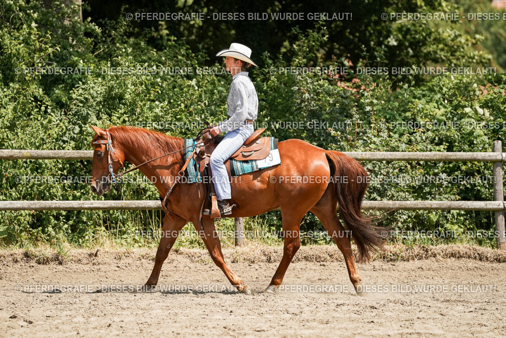 DSC09540 | Pferdegrafie