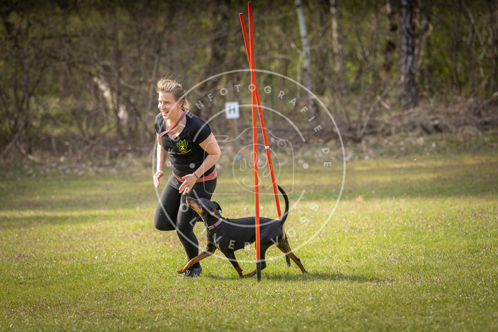 Pfotenfotografie_DV3A9962 | Hundefotografie, Tierfotograf, Pfotenfotografie, Fotoshooting Hund, Hunde Portrait, Hundesport, Hundeportraits, Heideshooting, Hunde, Sportfotograf, Hundefotograf, Turnierhundsport, THS,  - Realisiert mit Pictrs.com