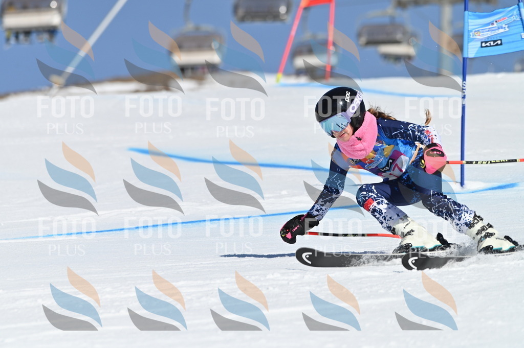 BGV_7902 | holidayphoto