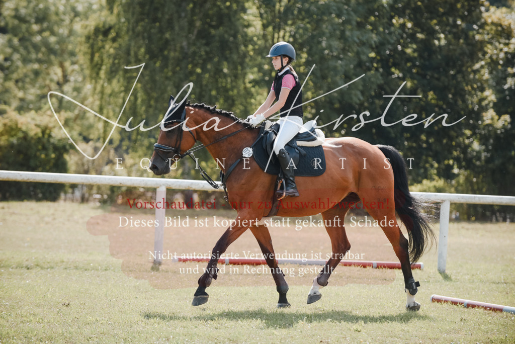 DSC_5386 | Pferde- und Turnierfotografie in Westsachsen. Pferdeportraits, Auftragszeichnungen und intuitive Kunst.