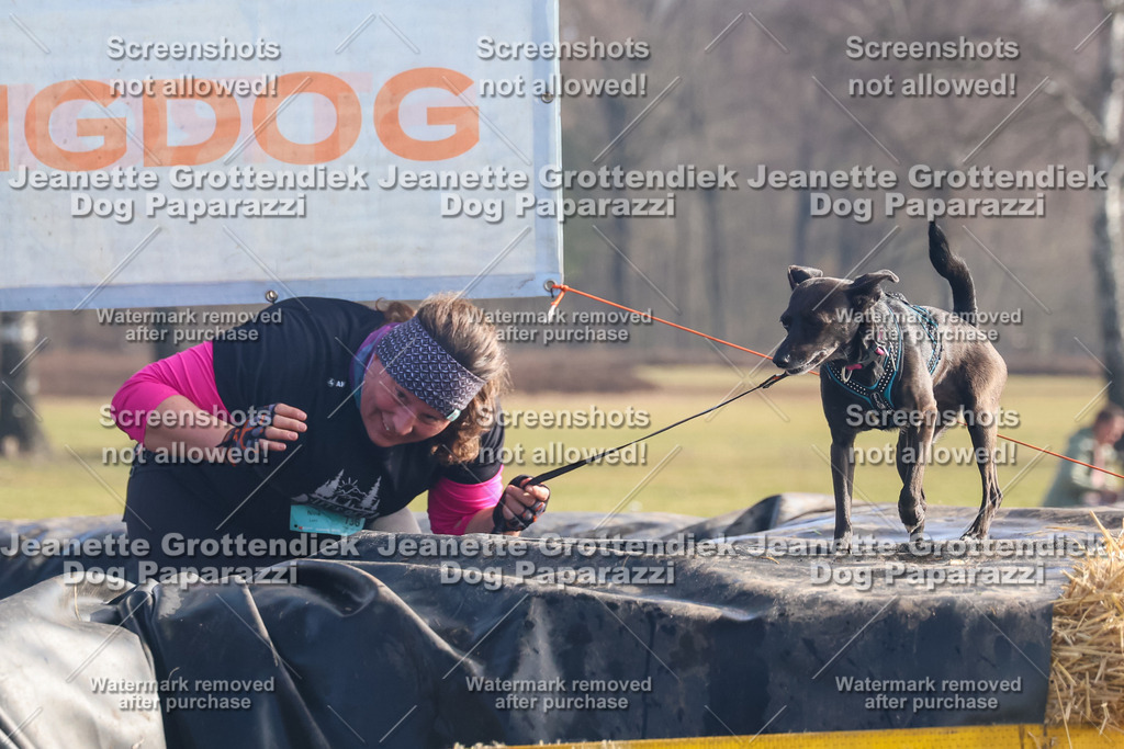 Dog Paparazzi - Strongdog North Mrz26-865 | Dog Paparazzi Jeanette Grottendiek Fotografie & Videografie - Realisiert mit Pictrs.com