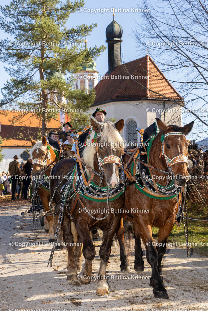 LBT25-1239 | foto-bettina-krinner - Realisiert mit Pictrs.com
