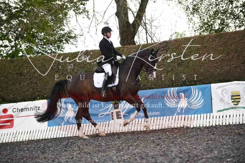 20230513_JK-Röhrsdorf-15-508 | Pferde- und Turnierfotografie in Westsachsen. Pferdeportraits, Auftragszeichnungen und intuitive Kunst.