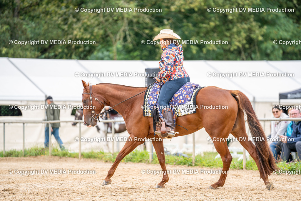 LM Heiligenwald Tag 3-892 | dv-media-shop - Realisiert mit Pictrs.com