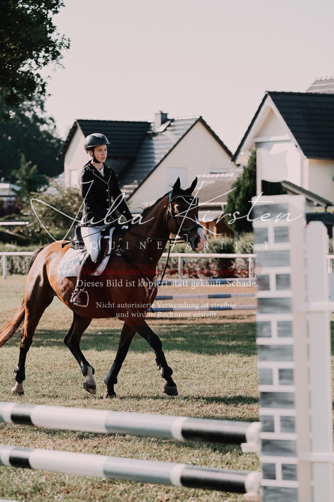 DSC_4530 | Pferde- und Turnierfotografie in Westsachsen. Pferdeportraits, Auftragszeichnungen und intuitive Kunst.