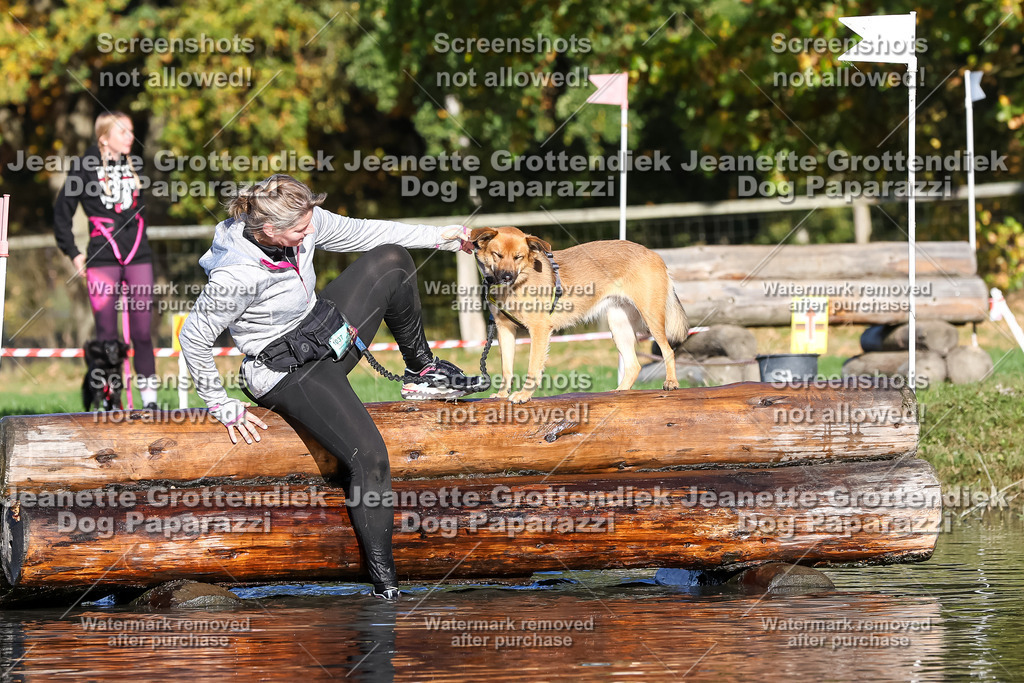 Dog Paparazzi - Strongdog 10-25-8747 | Dog Paparazzi Jeanette Grottendiek Fotografie & Videografie - Realisiert mit Pictrs.com