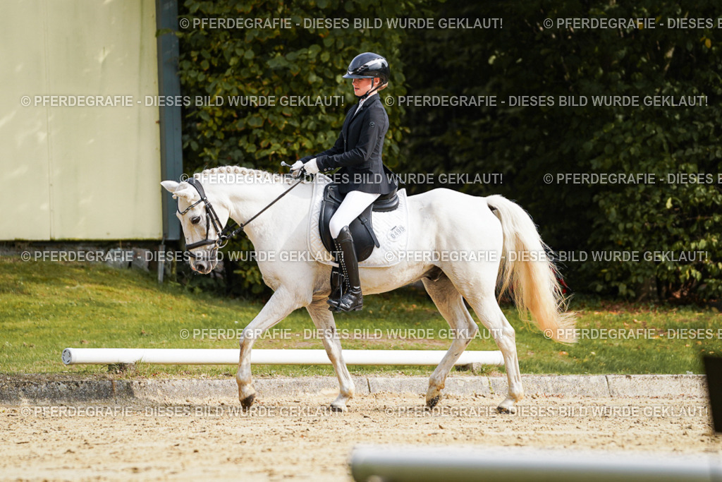 DSC04575 | Pferdegrafie