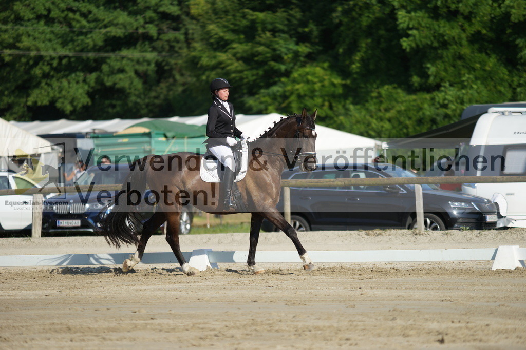 DSC04160 | equestrian-live-com