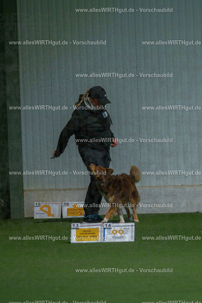 7R502845 | Professionelle Tierfotografie in Mönchengladbach von Daniel Wirth (allesWIRTHgut). Liebevolle & natürliche Bilder von Hunden & Katzen für unvergessliche Erinnerungen.