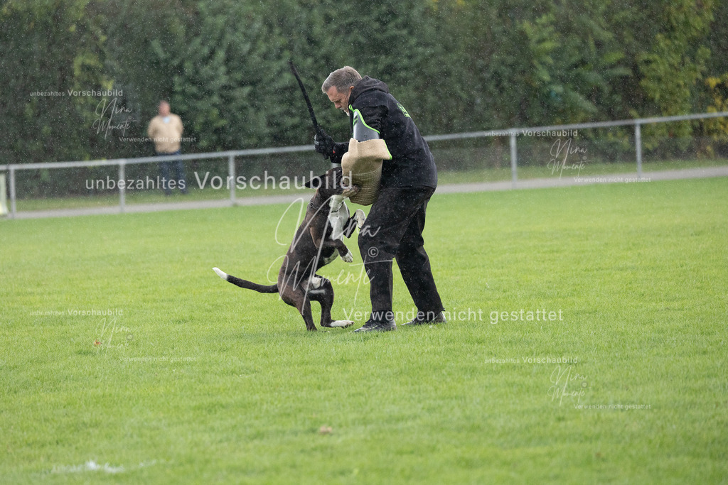_16A7167 | Einzigartige Fotos von Hunden & Menschen –Actionfotos, Portraits, Vereinsaufnahmen & Paarshootings – authentisch, lebendig & mit Herz.