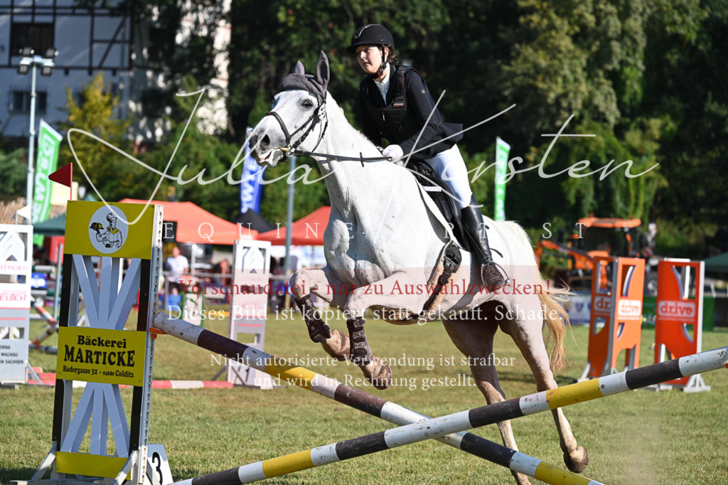 DSC_5075 | Pferde- und Turnierfotografie in Westsachsen. Pferdeportraits, Auftragszeichnungen und intuitive Kunst.