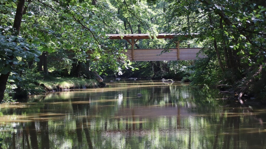 bridge over untroubled water | Künstler/in Member of AKM/austromechana. Troubadour. 2026 a fascinating journey began with Tatjana my AI muse✨ METISSIREN set sails and left the harbor ⛵