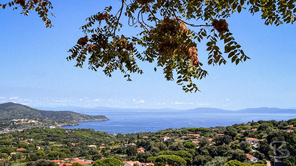 Panorama über Capoliveri: Weitblick auf das azurblaue Mittelmeer – Wandbild | Mediterraner Panorama-Ausblick von einer Anhöhe in Capoliveri über bewaldete Hügel und rote Ziegeldächer auf das blaue Meer am Horizont der Insel Elba, natürlich eingerahmt von Blättern im Vordergrund. - Realisiert mit Pictrs.com