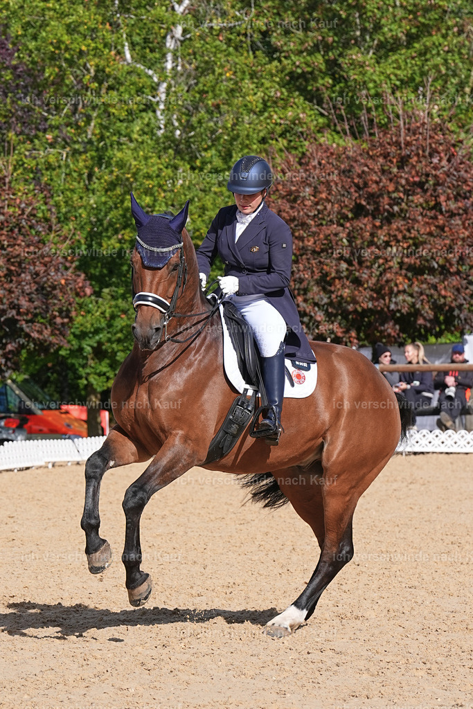 09_2-169-DRESSUR  S_  -Marixx-5939 | working equitationturnier fotograf videograf stoibphotography marixx film working equitation deutschland reitsport turnierfotografie eventfotografie equestrian events