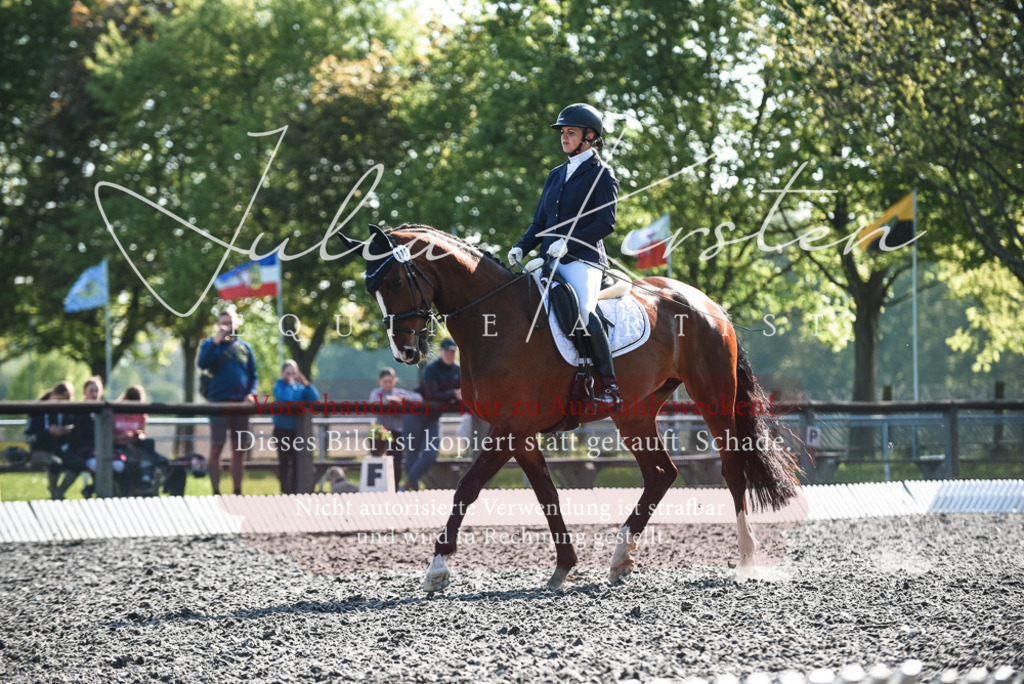 DSC_8519 | Pferde- und Turnierfotografie in Westsachsen. Pferdeportraits, Auftragszeichnungen und intuitive Kunst.