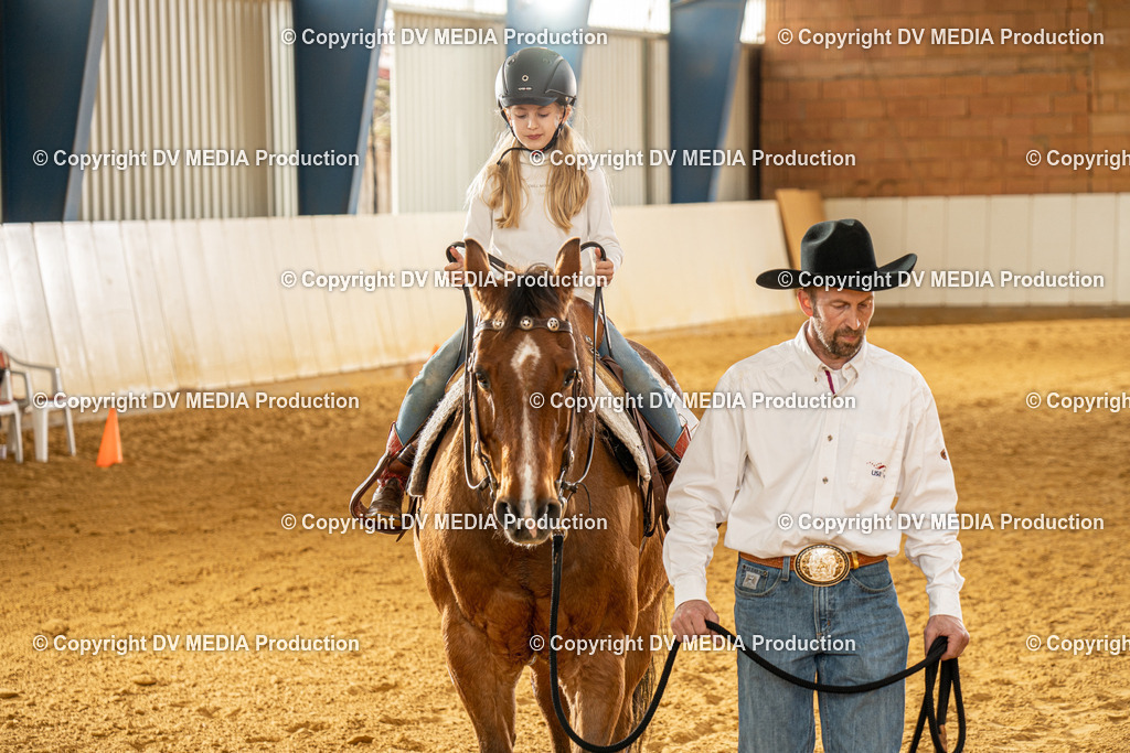 MIT01232 | dv-media-shop - Realisiert mit Pictrs.com