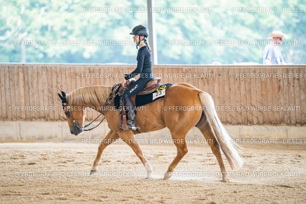 DSC04542 | Pferdegrafie