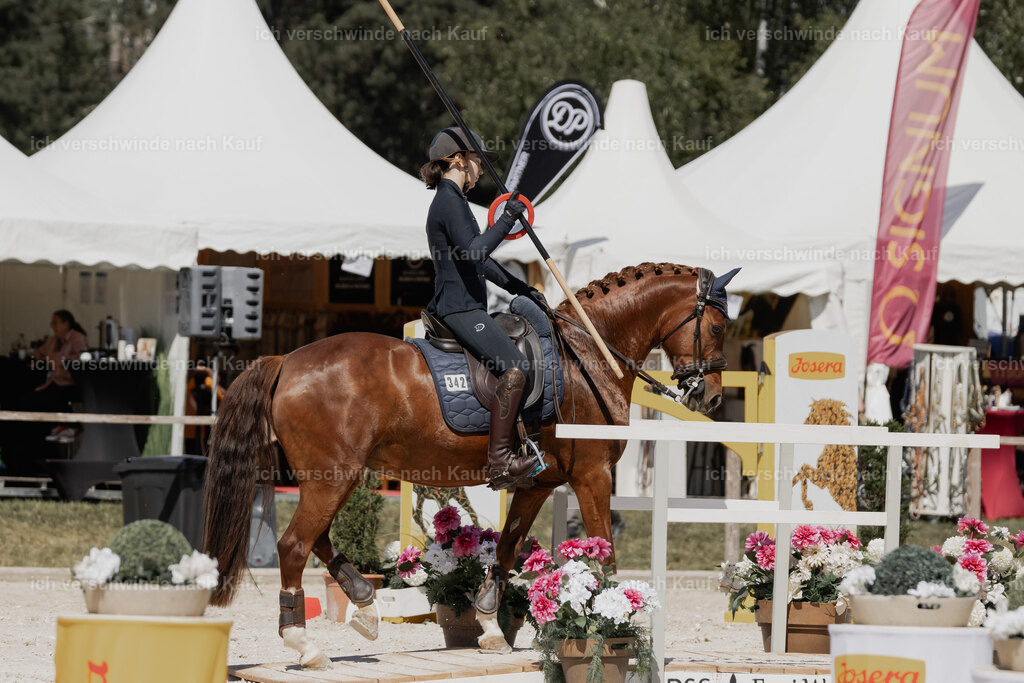 _AM18465 | working equitationturnier fotograf videograf stoibphotography marixx film working equitation deutschland reitsport turnierfotografie eventfotografie equestrian events