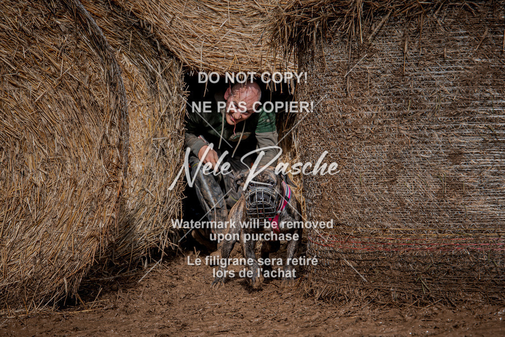 nelerasche_Hunsrück_So13-Ende_94 | nelerasche