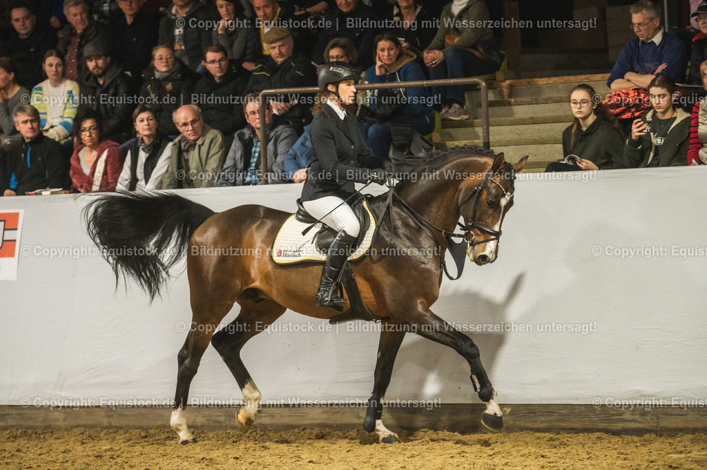 20240302_Hengstvorstellung_Marbach_TOMsPiC_1370 | equistock