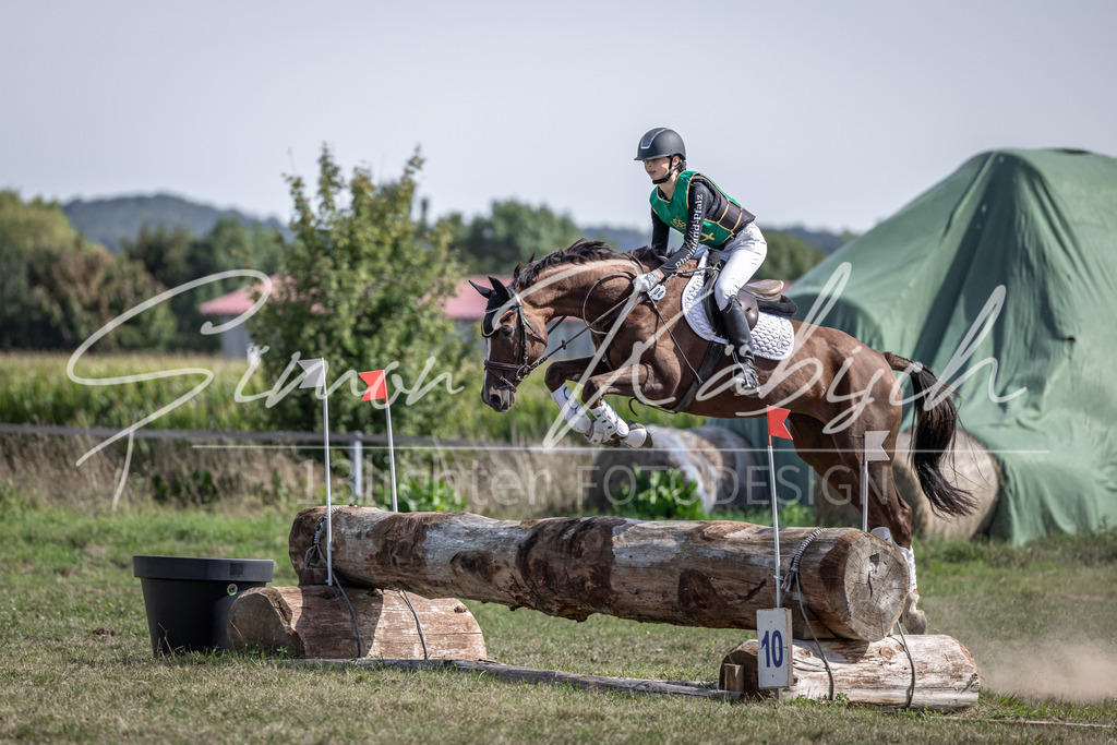 20250907-_3LI1483 | Tierfotografie Pferde, Hunde, Katzen, Haustiere.
Turnierfotografie Reitturniere, Reiten, Springreiten, Dressur in Hanau, dem Main-Kinzig-Kreis und dem Rhein-Main- Gebiet um Frankfurt