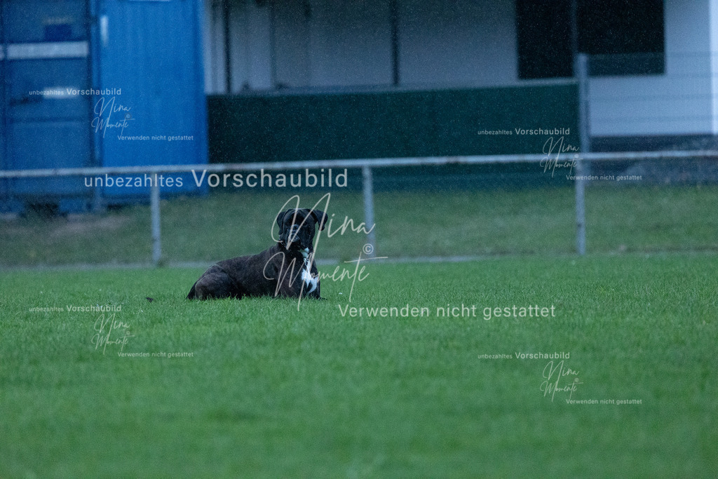 _16A4323 | Einzigartige Fotos von Hunden & Menschen –Actionfotos, Portraits, Vereinsaufnahmen & Paarshootings – authentisch, lebendig & mit Herz.
