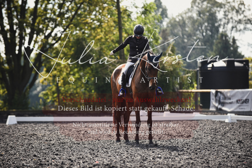 DSC_3678 | Pferde- und Turnierfotografie in Westsachsen. Pferdeportraits, Auftragszeichnungen und intuitive Kunst.